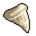 Megalodon Tooth.png